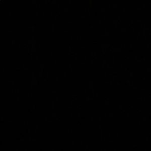 Meet your Posher, Blake